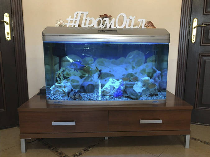 Офисный аквариум компании Промойл